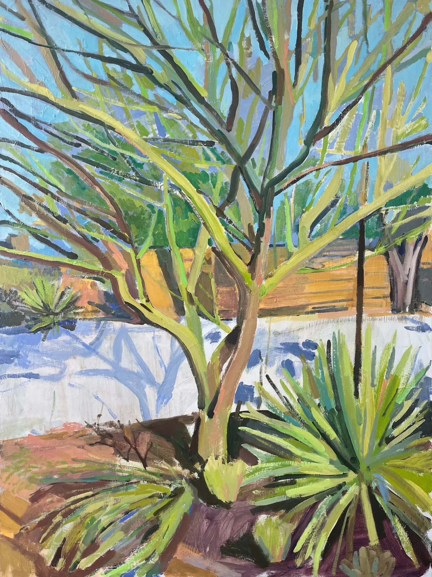 Coveted Palo Verde by Lily Timberlake