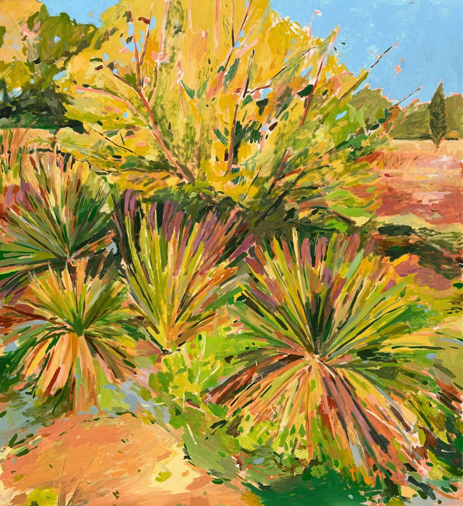 Can You Move a Prairie? by Lily Timberlake